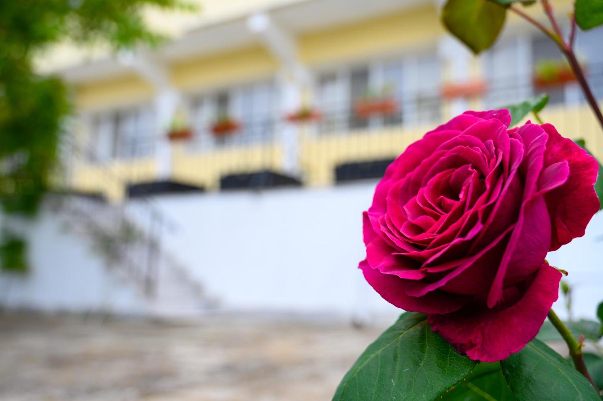 Effect Saint Mina Hotel Sozopol Exterior photo